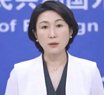 中国制造的起重机对美国国家安全构成风险？外交部回应(图1)