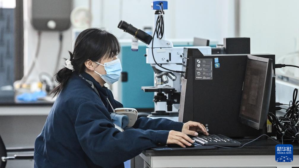 铁路女工检修保春运(图6)